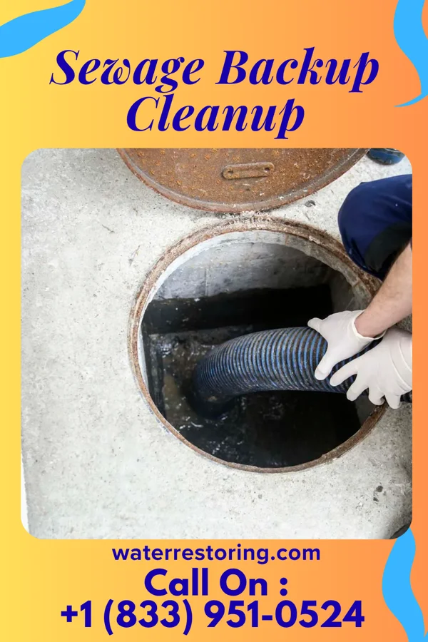 Sewage Backup Cleanup in Cedar Rapids, IA
